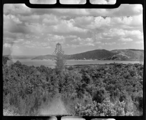 View of Paihia at Waitangi, Bay of Islands