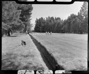 Golfers on the links, Hanmer Springs, Canterbury