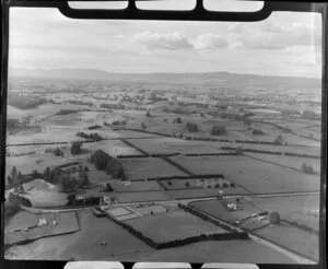 Rural countryside, Tirau, Waikato