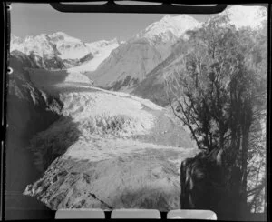 Fox Glacier, West Coast Region, from Cone Rock