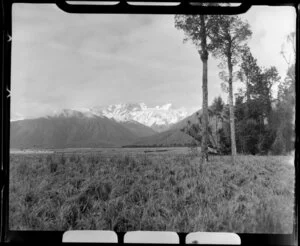 Fox Glacier, West Coast Region, showing Mount Cook from Flats