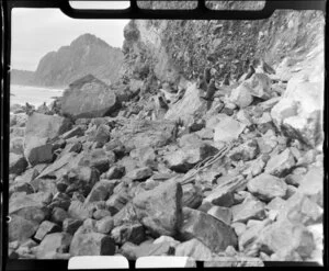 Gillespies beach, South Westland, showing seals