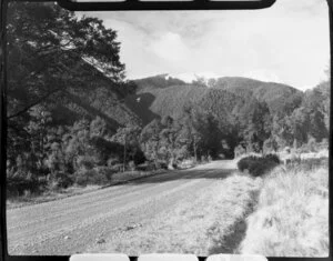 Lewis Pass, Maruia, Buller District, showing road
