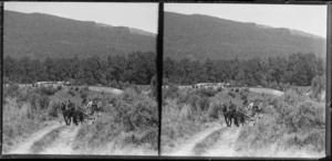 Unidentified group on horse drawn carriage on track near native forest, location unknown