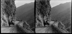 Unidentified man driving horse drawn cart on Skippers Canyon Road, Skippers Gorge, Queenstown-Lakes District, Otago Region