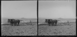 Man, driving a horse-drawn plough along the beach, [Taieri?] Island in the distance, South Otago