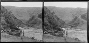 Man, sitting in a horse-drawn dray at a ford, while a woman and child stand in the stream, Brunswick, Wanganui Region