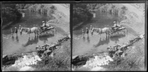 Horse-drawn dray in a pool and three children paddling nearby, Brunswick, Wanganui Region