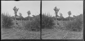 Man, looking over the fence, Brunswick, Wanganui Region