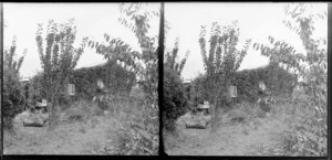 Garden and house of Motohou, Brunswick, near Wanganui