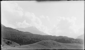 A scene including farmland, native forest, and mountains, [Fiordland National Park, Southland District?]
