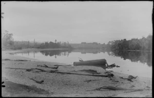 River or estuary with driftwood in the mudflats beside, unknown location