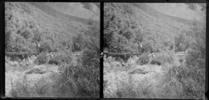 Unidentified man walking over a log crossing a stream [Milford Track?], Fiordland National Park