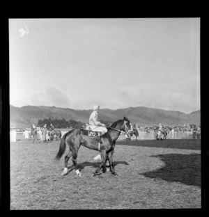 Racehorse and jockey, Trentham, Upper Hutt
