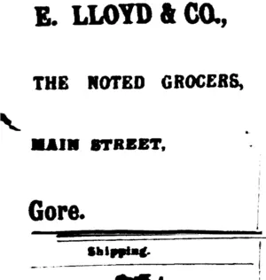 Page 1 Advertisements Column 1 (Mataura Ensign 3-1-1901)