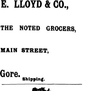 Page 1 Advertisements Column 1 (Mataura Ensign 23-2-1901)