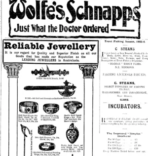 Page 3 Advertisements Column 4 (Mataura Ensign 10-10-1903)