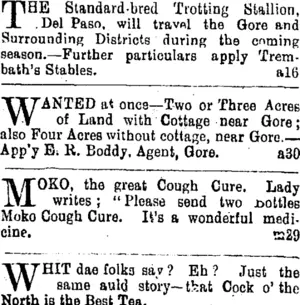 Page 3 Advertisements Column 2 (Mataura Ensign 29-11-1904)
