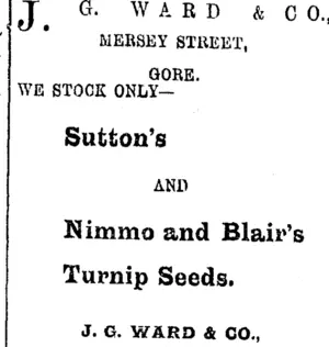 Page 5 Advertisements Column 5 (Mataura Ensign 4-4-1905)