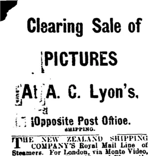 Page 1 Advertisements Column 1 (Mataura Ensign 5-8-1907)
