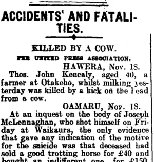 ACCIDENTS' AND FATALITIES. (Mataura Ensign 19-11-1907)