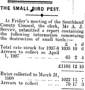 THE SMALL BIRD PEST. (Mataura Ensign 11-5-1908)