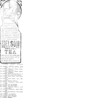 Page 3 Advertisements Column 6 (Mataura Ensign 29-9-1909)
