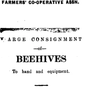 Page 8 Advertisements Column 2 (Mataura Ensign 14-11-1910)
