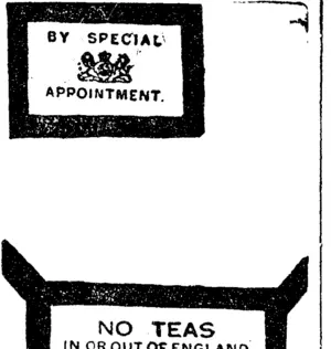 Page 7 Advertisements Column 3 (Mataura Ensign 19-12-1910)