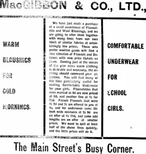 Page 6 Advertisements Column 4 (Mataura Ensign 19-6-1912)