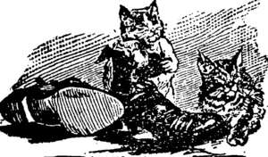 Untitled Illustration (Manawatu Herald, 12 September 1896)