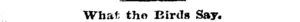 Untitled Illustration (Manawatu Herald, 11 August 1898)