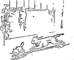 WE FOUND SOME DOGS. (Manawatu Standard, 06 July 1903)