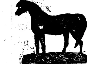 Untitled Illustration (Manawatu Times, 01 September 1883)