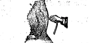 Untitled Illustration (Manawatu Times, 01 September 1883)