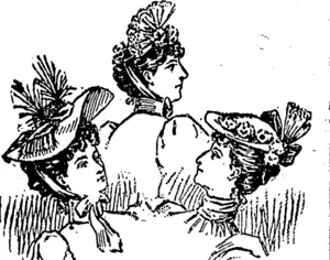 A PRETTY BOIiTNET AXD HATS. (Northern Advocate, 03 June 1893)