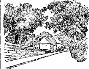 VIEW OF ROAD IN ENGLAND. (Northern Advocate, 24 June 1893)