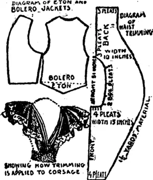 DIAOBAMS FOR JACKETS AND TRIMMINGS. (Northern Advocate, 14 October 1893)