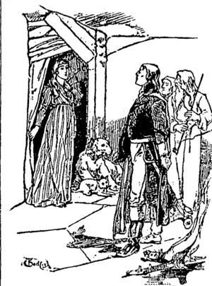 Untitled Illustration (Northern Advocate, 11 November 1893)