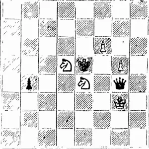 wjiitb—(i pieces.  White to play and unite in tlucc moves.  nLACK—2 pieces (North Otago Times, 21 March 1894)