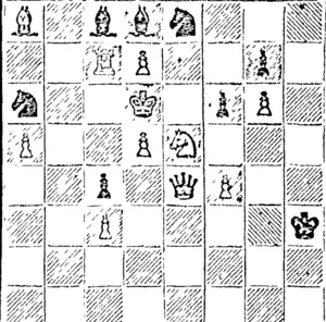 liLACic -8 pieces.  white—I 1 pieces. (North Otago Times, 24 August 1894)