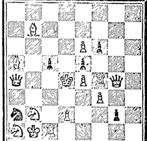 hlack -7 pieces  white—l 2 pieces (North Otago Times, 31 August 1894)