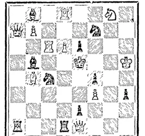 wiiiTi;-—9 pieces  BLACK -DimciiCi. (North Otago Times, 30 November 1894)