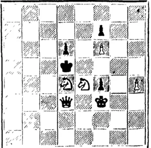 black—4 pieces  " "viiiTR—6 pieco* " (North Otago Times, 28 June 1895)