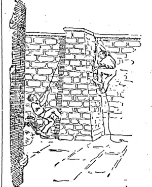 climbing the outer wall. (NZ Truth, 11 April 1925)