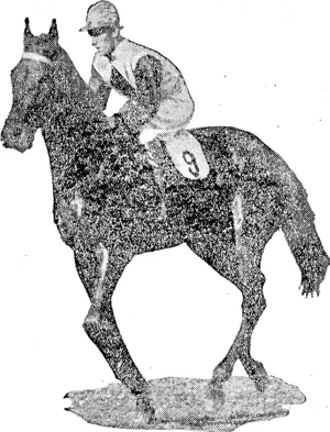 BRILLIANT WINDBAG.  Favorite for the Melbourne Cup. Trained by George Price. (NZ Truth, 05 September 1925)