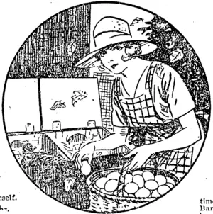Untitled Illustration (NZ Truth, 19 September 1925)