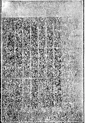 THE WINDOW. (NZ Truth, 19 September 1925)