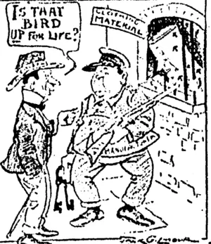 Untitled Illustration (NZ Truth, 16 December 1922)