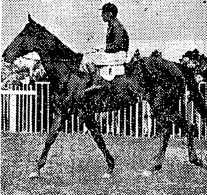 SLOW TO BEGIN Richfield gallop; the last furlong. (NZ Truth, 03 April 1930)